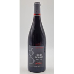 Domaine Gueguen Irancy | Red Wine